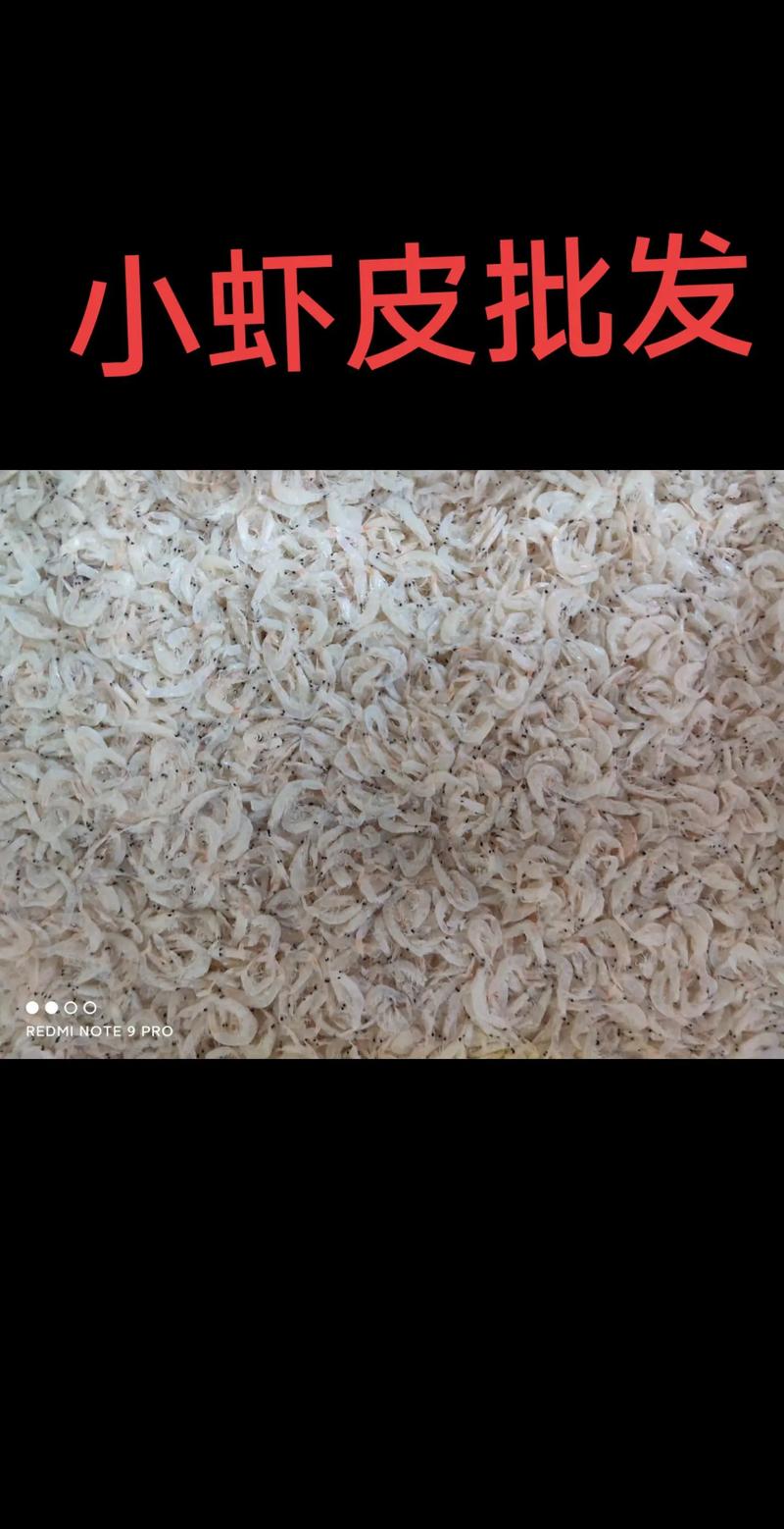 厦门虾米供应链：从源头捕捞到市场热销的链条